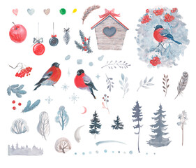 Bullfinch collection , winter lovely forest for Christmas and Valentine day, watercolor and guasche painting