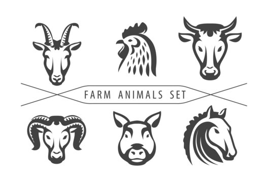 Farm animals set - Cow, Chicken, Ram, Pig, Horse, Goat. Template for Butcher shop, store, meat market and packaging