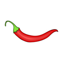 Hot red chili pepper. Cartoon style pod of pepper for spice package design, cooking book decoration. Isolated on white background. Vector illustration.