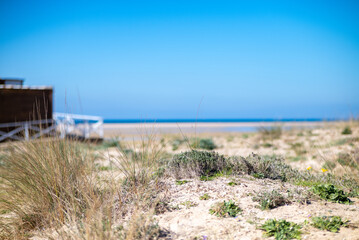Playa solitaria de Tarifa