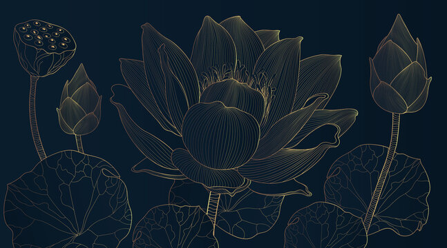 Golden lotus line arts on dark blue background, Luxury gold wallpaper design for prints, banner, poster, cover. vector illustration