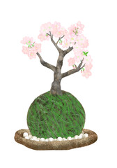 満開の桜の苔玉陶器の皿に白い石の飾り