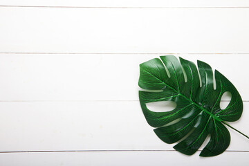 Palm leaves and monstera on a white background.
