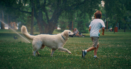 Little boy running cute dog. Cheerful golden retriever on sunny day in park