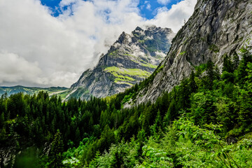 Grindelwald, Pfingstegg, Wetterhorn, Schreckhorn, Mättenberg, Wanderweg, Grosse Scheidegg, Milchbach, Oberer Grindelwaldgletscher, Bergwiese, Alpen, Berner Oberland, Sommer, Schweiz 