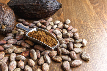 Cocoa powder and cocoa bean on wooden table