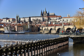 city ​​Prague
