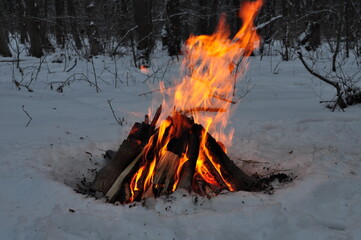 fire flames on the snow in the forest in winter