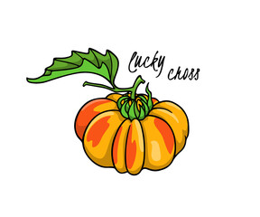Vector illustration of hand drawn Lucky Cross heirloom tomato on a green branch. Beautiful food design elements, perfect for food related industry