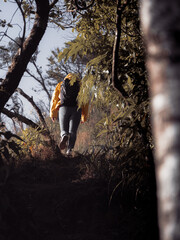 Young woman in yellow jacket hiking in a tropical forest in autumn. A healthy and active Asian female traveler is walking in the forest with a backpack.