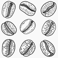 simplicity coffee beans freehand drawing flat design.