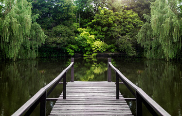 green scenery with old wood bridge on water pond