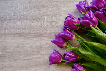 Beautiful purple tulips on a wooden background. Top view, copy space and message space. Background for mother's day. Spring flowers and gardening concept
