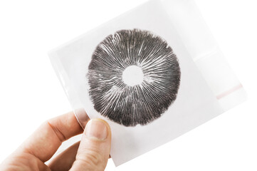 Spore Print Mycology and Mushrooms as Medicines - obrazy, fototapety, plakaty