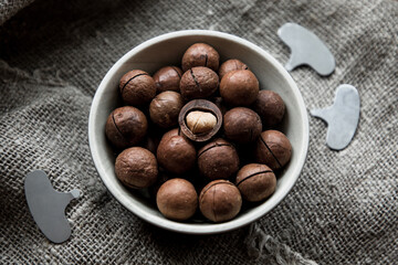 macadamia nut in a cup, macadamia key