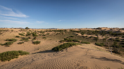 Die atemberaubende schöne Landschaft der Wüste Gobi, gespickt mit Sanddünen, aufregenden...