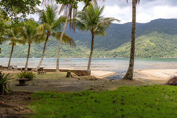 cool shade of palm trees in front of the beach