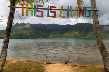 swing tied between two coconut trees facing the sea