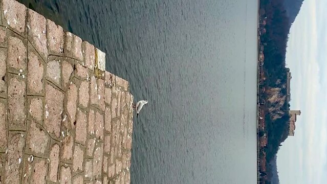 Seagulls fly away from boardwalk of Arona lake pier with castle in background. VERTICAL format