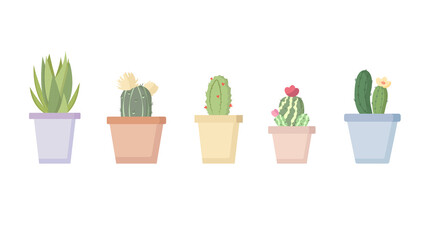 set of five pictures of cacti
