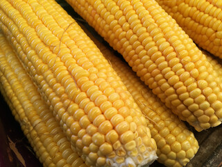 close up of corn