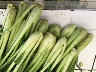 Fresh green mustard greens (Caisim/Sawi Hijau) isolated on white background.