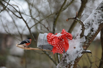 Bird feeder with a red bow on plastic with seeds in a spoon hanging on a winter snow tree in the...