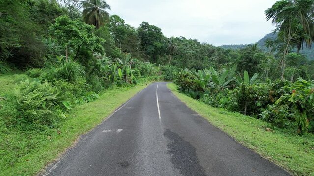 Flying in a desert road in the middle of the tropical forest at Sao Tome,Africa