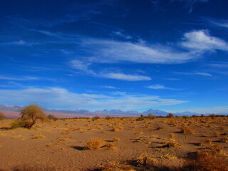 Fototapeta na wymiar Desierto de Atacama, San Pedro de Atacama, región de Antofagasta, Chile. 