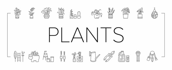 Houseplant Store Sale Collection Icons Set Vector .