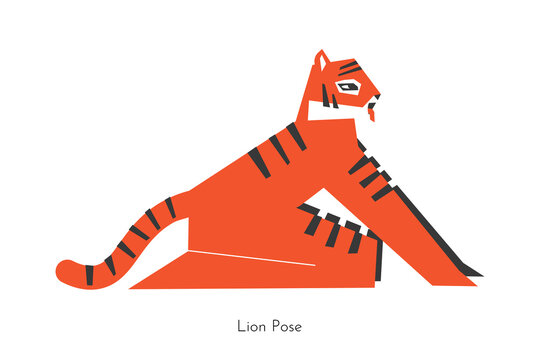 Vector isolated concept with animal cartoon character doing balancing yoga practice - Simhasana. Bengal tiger learns Lion Pose. Flat illustration of seated fitness exercise