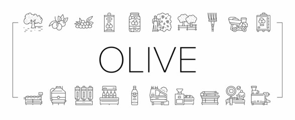 Olive Production And Harvesting Icons Set Vector .