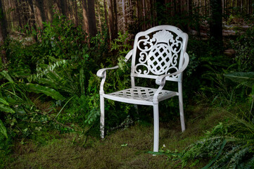 white chair in the garden