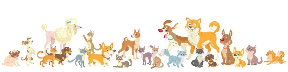 Group of funny dogs and cats. Different emotions, poses and breeds. Banner in cartoon style. Isolated on white background. Vector flat illustration.