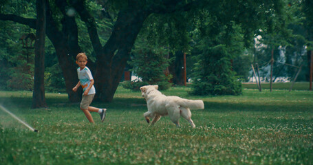 Playful dog chasing little boy play together water sprinklers in summer park.