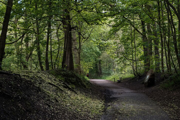 path in the woods at middleton park