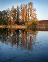 spring landscape, trees with bright leaves in the reflection of the river water