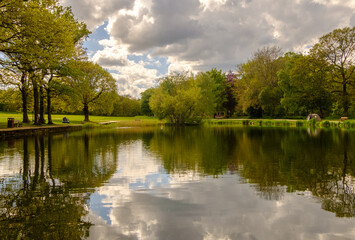 Obraz premium lake in the park