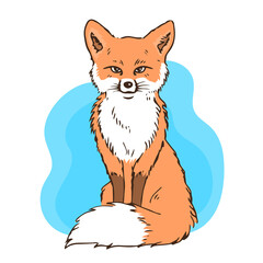 Obraz premium Illustration of a red fox sitting. Fluffy tail. Forest animal. Vector isolated art illustration hand drawn