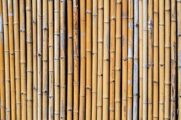 Old brown tone bamboo simple wall or Bamboo fence texture background for interior or exterior design vintage tone. Brown bamboo stick pattern backdrop. Local area urban house protection from thief.
