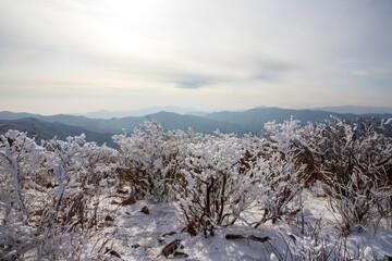 태백산