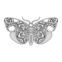 vector butterfly black and white element line art print design