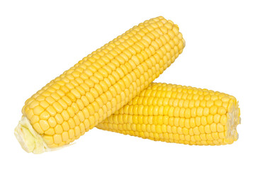 Corn on the cobs peeled isolated on white background 