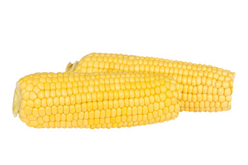 Corn on the cobs peeled isolated on white background 
