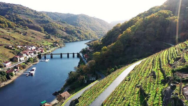 Belesar Village With Sil River And Terraced Vineyards At Summer In Ribeira Sacra, Galicia, Spain. - aerial pullback
