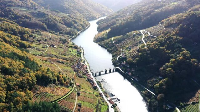 River Sil Between Vineyard Valley In Ribeira Sacra, Galicia, Spain. aerial drone tilt-up