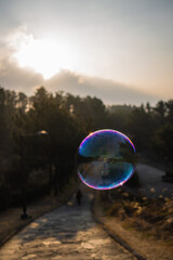 soap bubbles in the sky