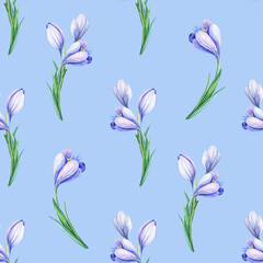 Beautiful spring seamless pattern with blue crocuses. Purple flowers of saffron