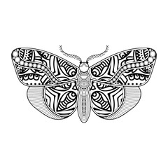 vector butterfly black and white element line art print design