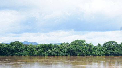 Amazon river flooding  in the forest
